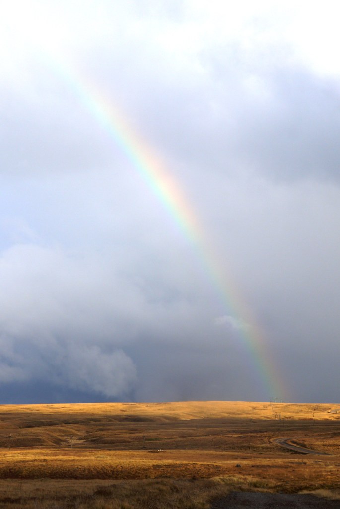 the millennium eruption created a tundra like landscape near volcano